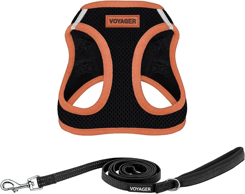 Voyager Passo-a-passo ar Combinação de arreio de malha para todas as condições climáticas e coleira de 5 pés para cães com alça de neoprene, para filhotes de raças pequenas, médias e grandes