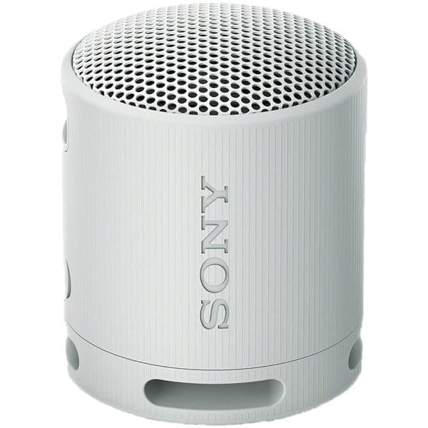 Alto-falante Portátil Sony SRS-XB100 - Cinza