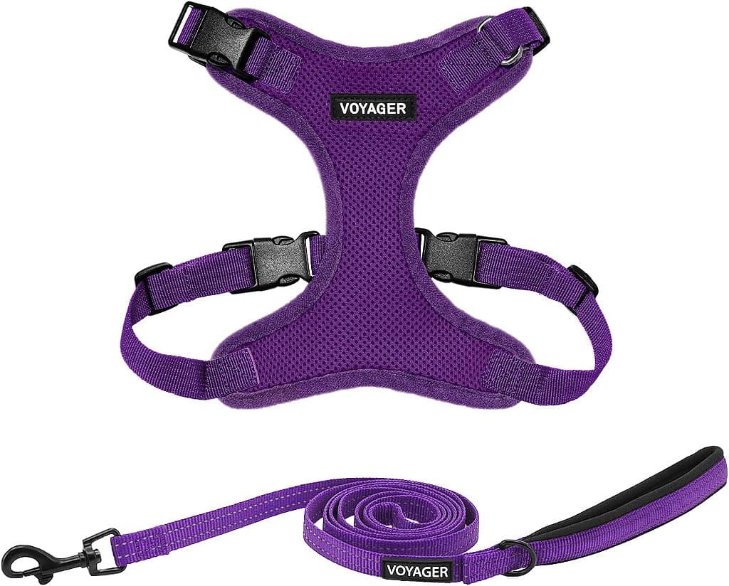 Peitoral de Cachorro Voyager Step-in Lock com Combo de Coleira Refletiva com Alça de Neoprene de 1,5m - Suporta Cães de Raças Pequenas, Médias e Grandes/Filhotes de Gatos da Best