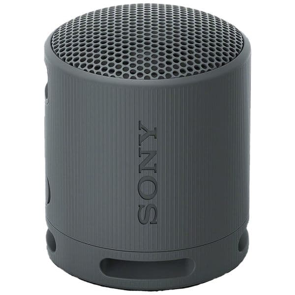 Alto-falante Portátil Sony SRS-XB100 - Preto